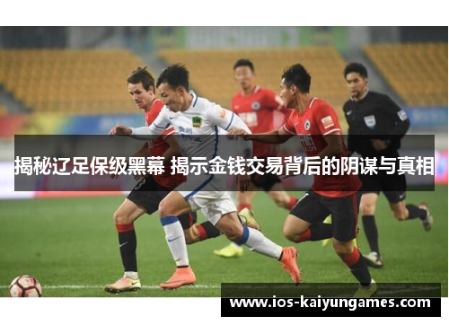 揭秘辽足保级黑幕 揭示金钱交易背后的阴谋与真相