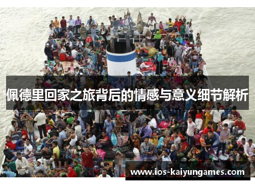 佩德里回家之旅背后的情感与意义细节解析
