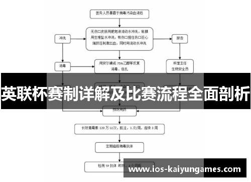 英联杯赛制详解及比赛流程全面剖析