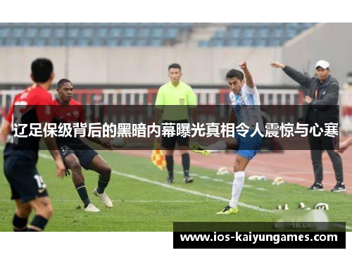 辽足保级背后的黑暗内幕曝光真相令人震惊与心寒