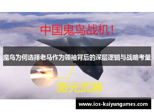 魔鸟为何选择老马作为领袖背后的深层逻辑与战略考量