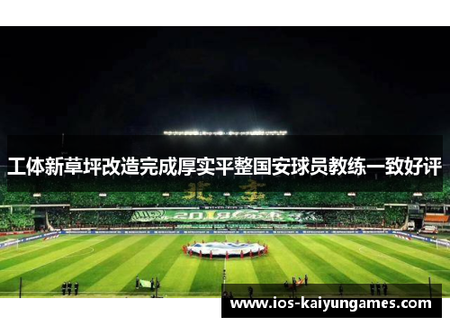 工体新草坪改造完成厚实平整国安球员教练一致好评