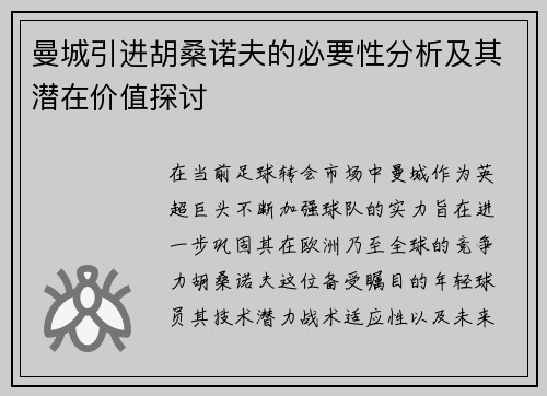 曼城引进胡桑诺夫的必要性分析及其潜在价值探讨